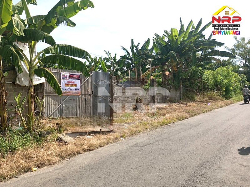 Dijual Tanah Murah di kabat banyuwangi, Jawa Timur - 5