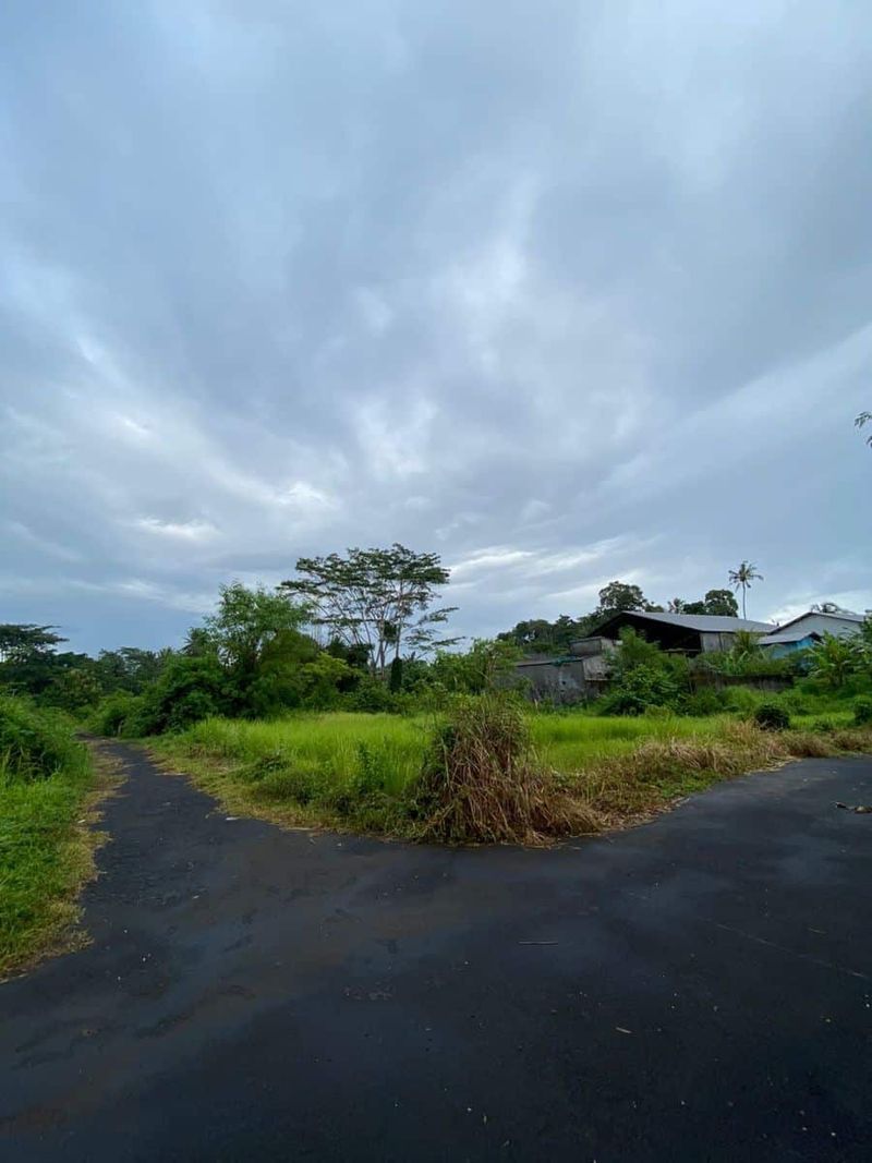 image-0