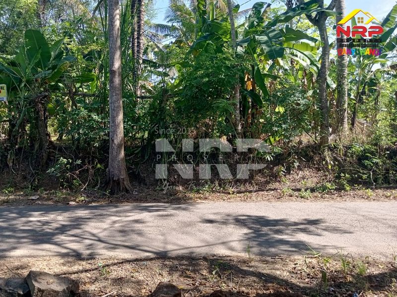  Dijual Tanah Murah di kabupaten banyuwangi, Jawa Timur - 3