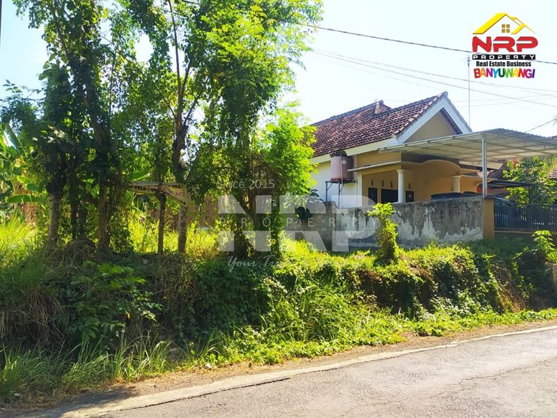 Dijual Tanah pinggir jalan utama pendarungan kabat  di kabupaten banyuwangi, Jawa Timur - 2