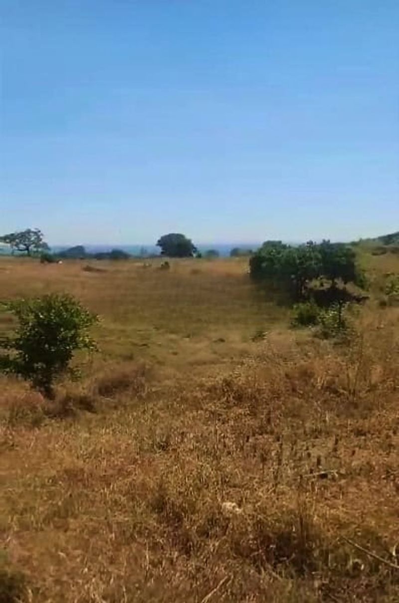 Jual Tanah 7 Hektar View Laut Loloan Bayan Lombok Utara Nusa Tenggara Barat - 3