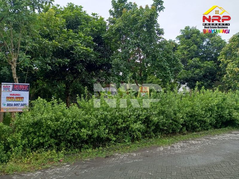  Dijual Tanah Kosong di kabupaten banyuwangi, Jawa Timur - 3