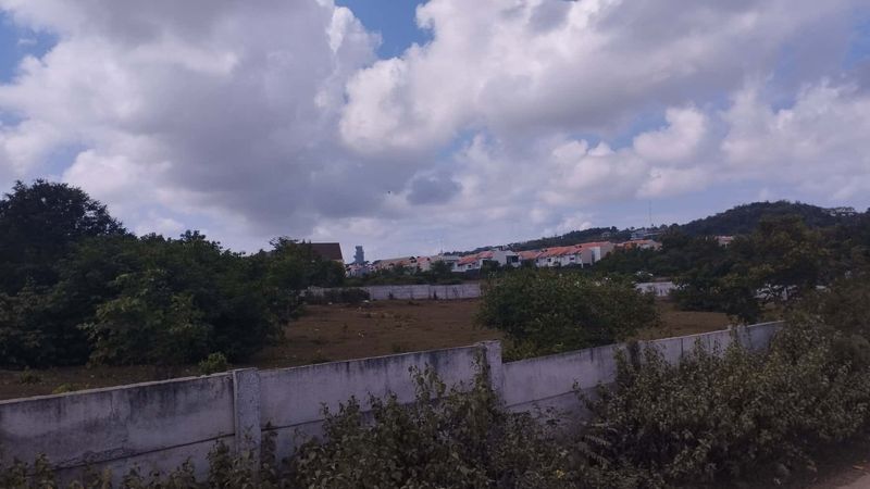 imag