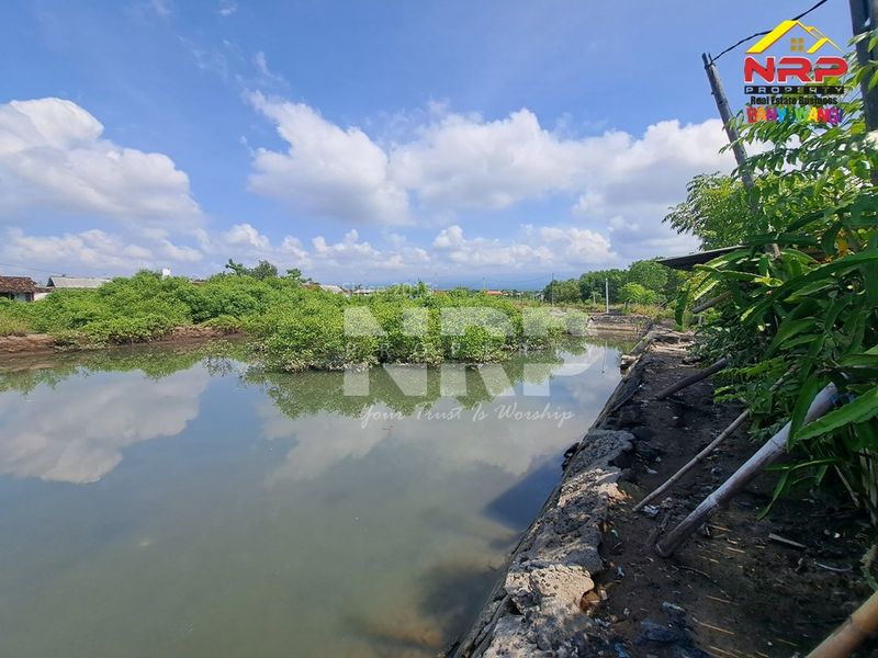 Dijual tambak  Murah di kabupaten banyuwangi, Jawa Timur - 3