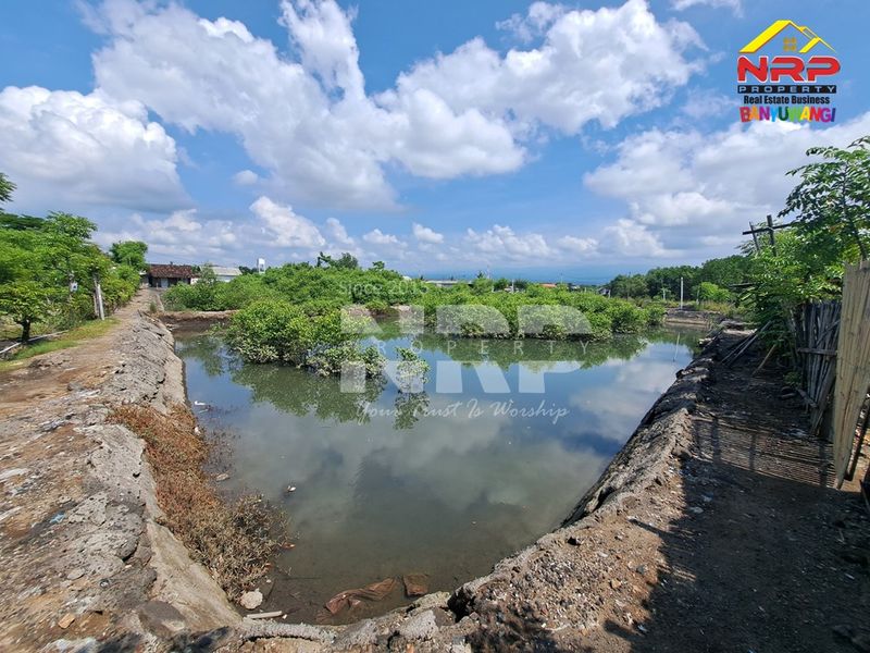 Dijual tambak  Murah di kabupaten banyuwangi, Jawa Timur - 4
