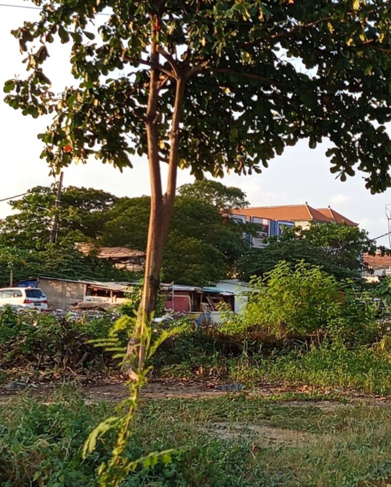 Jual Tanah 18 Are Jalan Raya Marlboro Denpasar Barat - 2