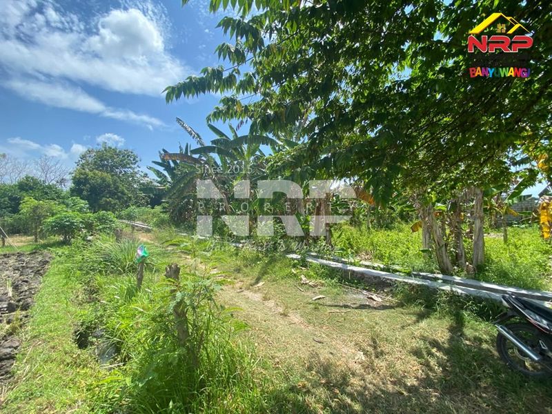 Dijual Tanah Murah Siap Bangun di Kebalenan - Banyuwangi Kota - 5