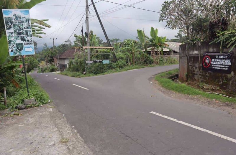 image-0