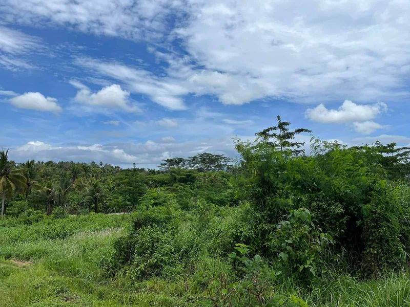 Investasi Tanah 1940m2 Lahan Kering Desa Batuaji Tabanan - 3