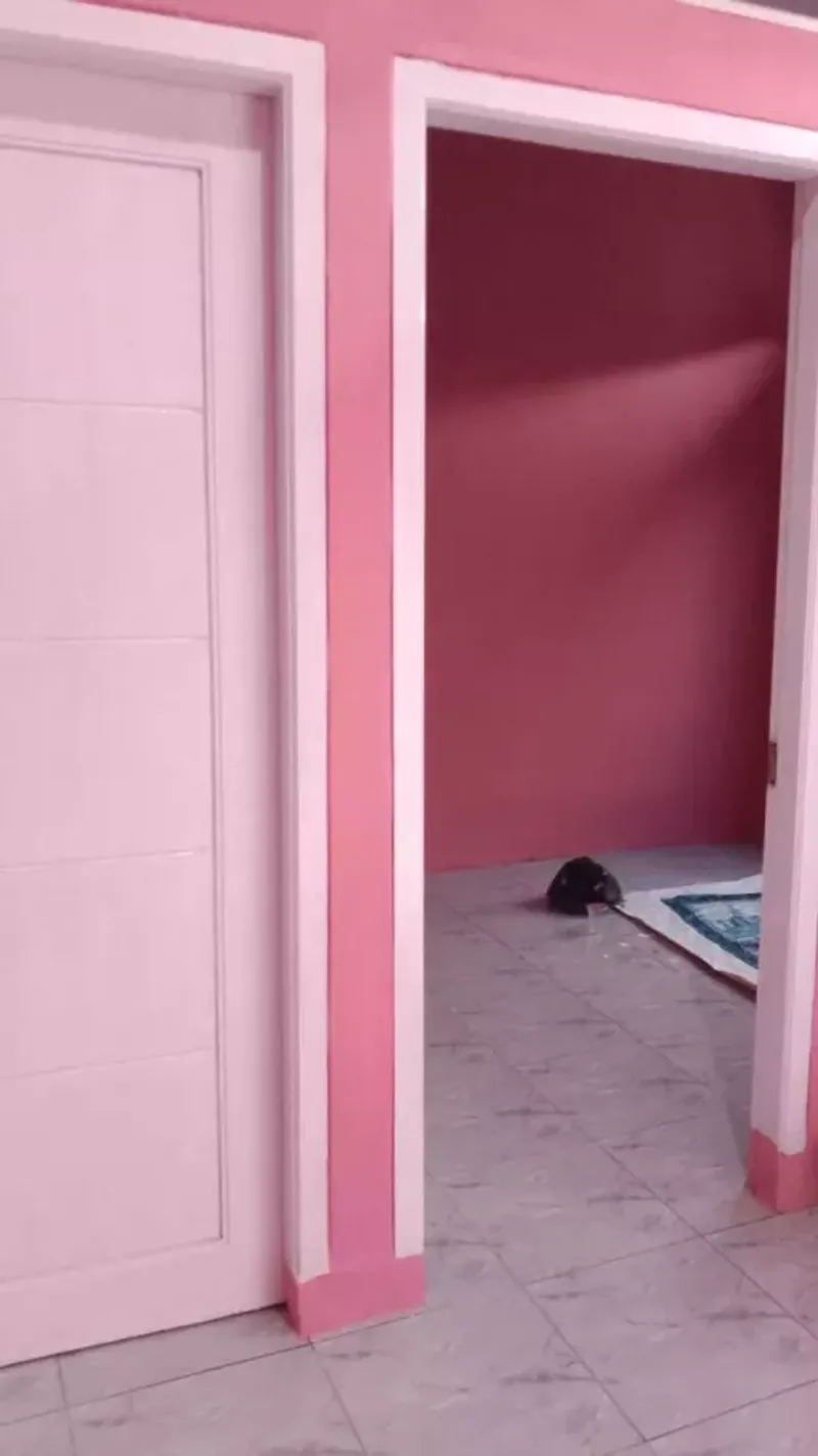 Rumah Minimalis 2 Kamar Siap Huni Hanya 150 Jutaan SHM - 4