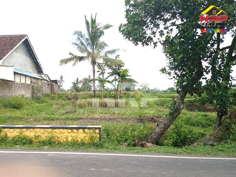 image-0