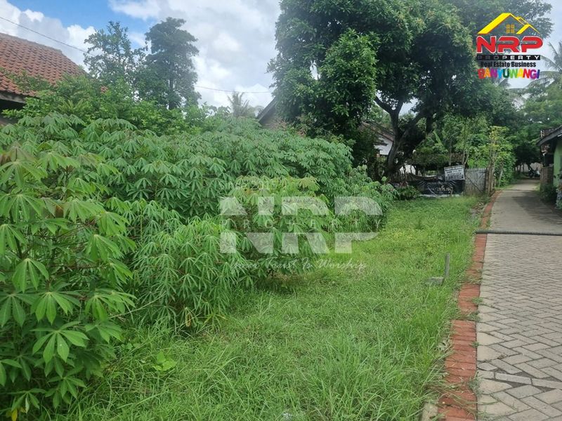 Dijual Tanah Murah di Bajulmati wongsorejo banyuwangi, Jawa Timur - 2