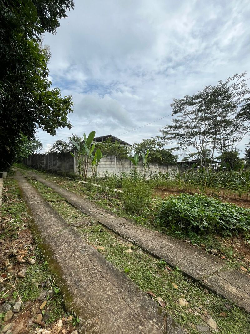 Tanah Kosong di Kabupaten Karanganyar, Jawa Tengah - 4
