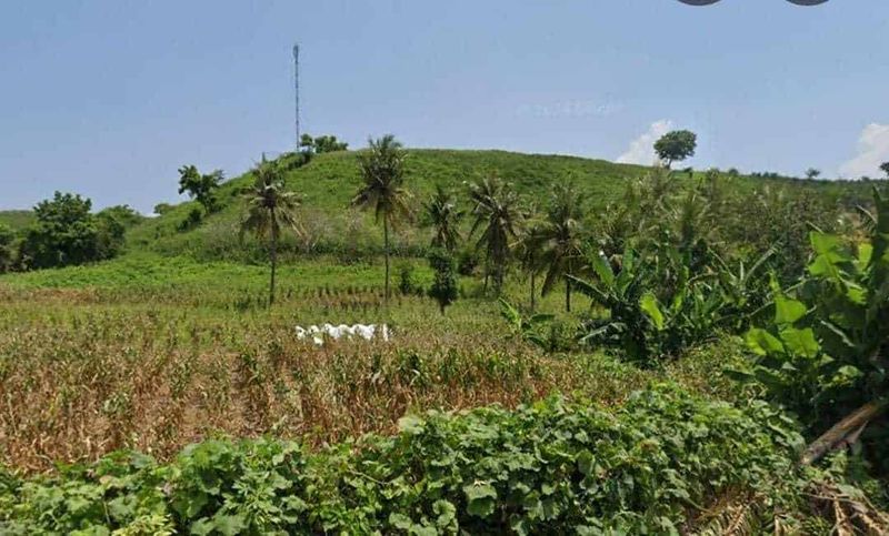 Jual Tanah 204 Are Ekas Jerowaru Lombok Timur Nusa Tenggara Barat - 2