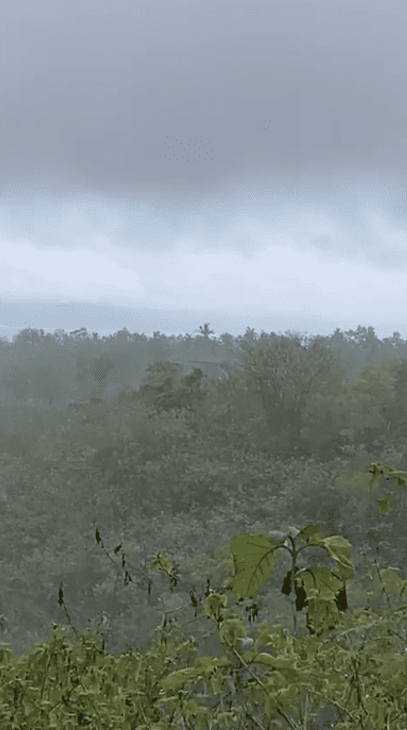 image-0