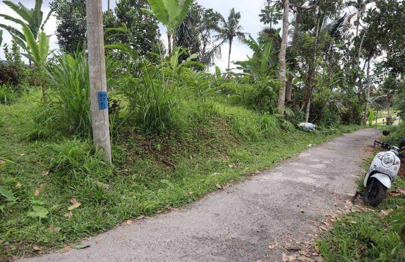 Investasi Tanah 50 Are Munduk Lumbang Baturiti Tabanan Hotspring Sungai - 2