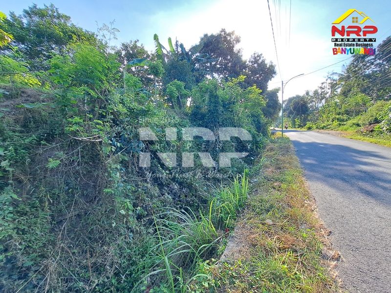  Dijual Tanah Kosong di kabupaten banyuwangi, Jawa Timur - 5