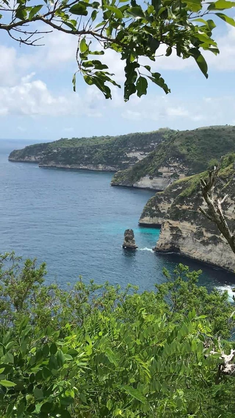 image-0