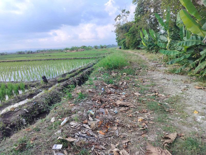 Jual Tanah 26 Are Pantai Pasut Kerambitan Tabanan View Laut Gunung - 3