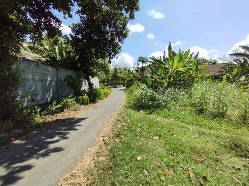 Investasi Tanah Pinggir Pantai 3760m2 Tegal Besar Klungkung Bali - 4