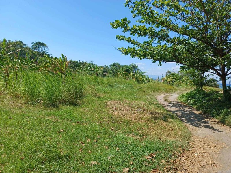 Investasi Tanah Pinggir Pantai 3760m2 Tegal Besar Klungkung Bali - 3