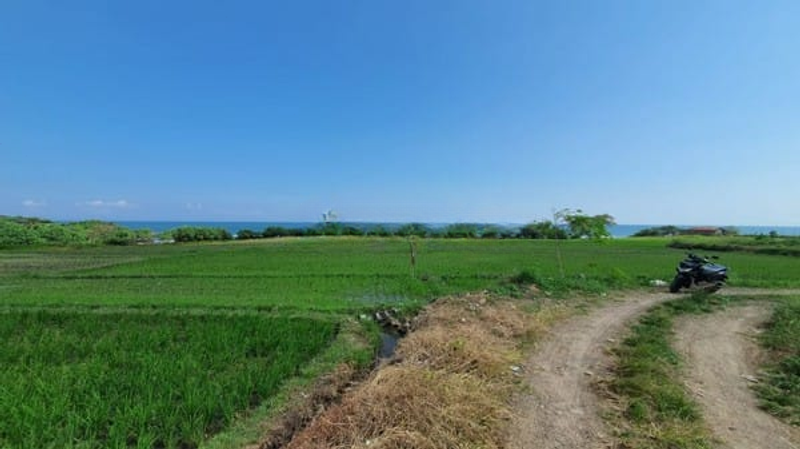 Jual Tanah 7850m2 Beachfront Kelating Tabanan - 3