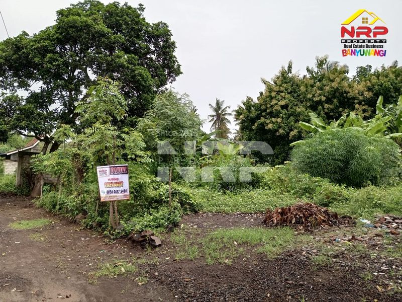 Dijual Tanah Murah di dalam perumahan  di kabupaten banyuwangi, Jawa Timur - 2