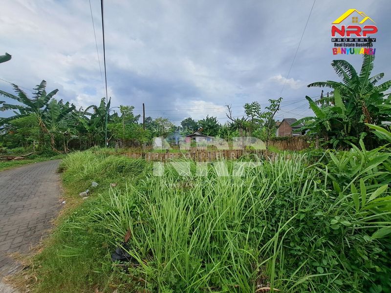 Dijual Tanah Kavling strategis depan perum  di kabupaten banyuwangi, Jawa Timur - 4