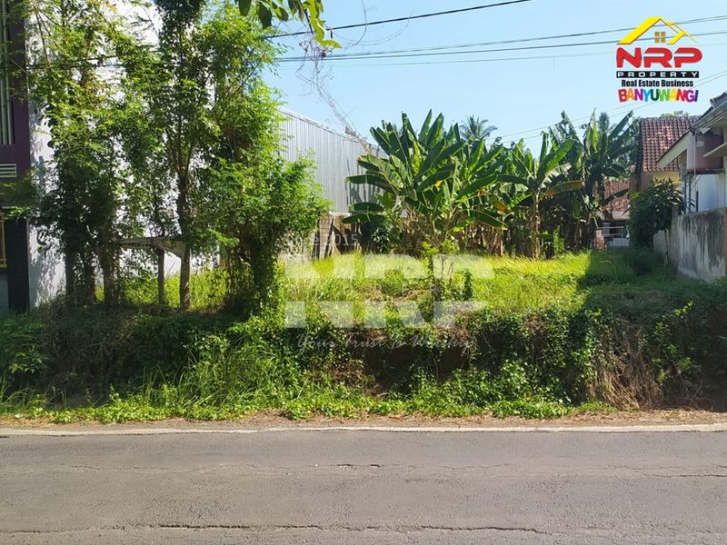 image-0