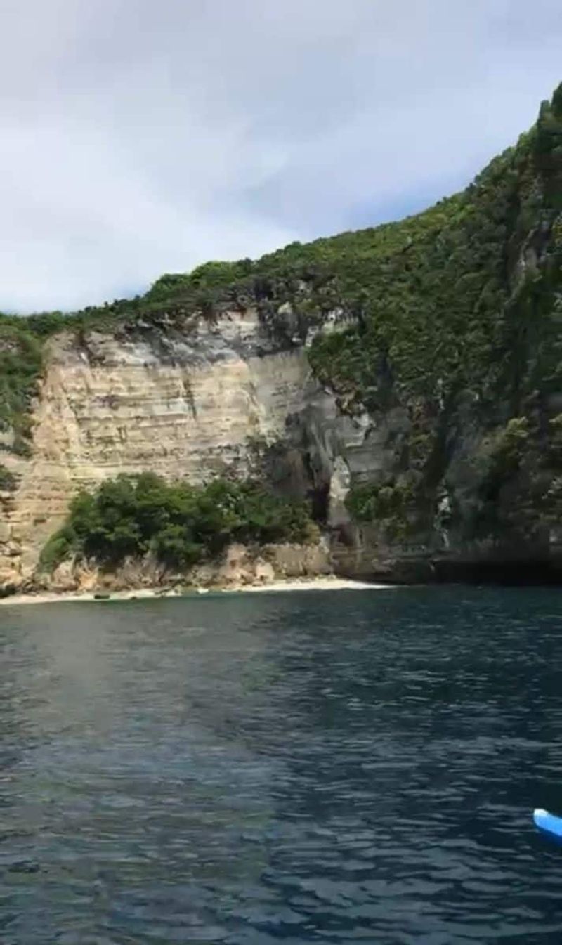 image-0