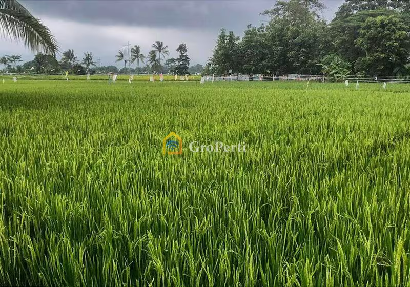 Dijual Tanah Second di Jonggol, Kabupaten Bogor - JTII05-1 - 3