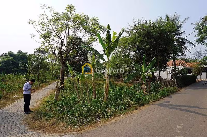 Tanah Dijual di Rajeg, Bogor