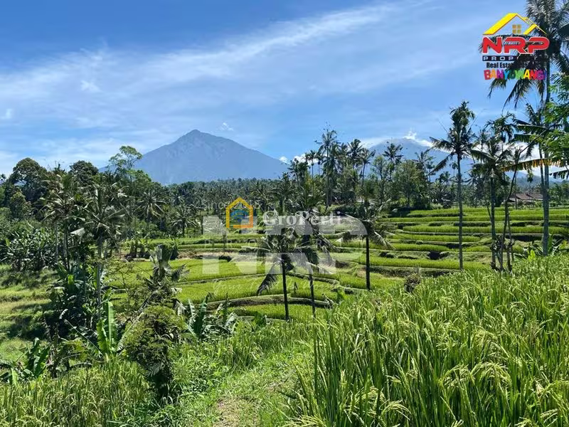 Tanah Dijual di Banyuwangi, Kabupaten Banyuwangi