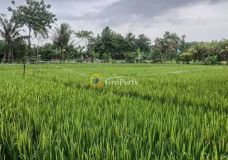 Dijual Tanah Second di Jonggol, Kabupaten Bogor - JTII05-1 - 4