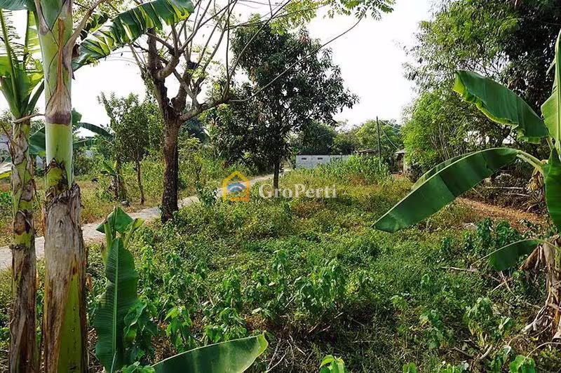 Dijual Tanah Second di Rajeg, Bogor - WOFF236-1 - 2