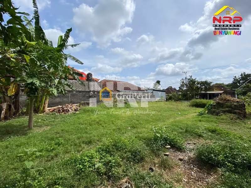 Dijual Tanah Strategis di Srono, Banyuwangi – Cocok Investasi & Bangun Hunian - 4