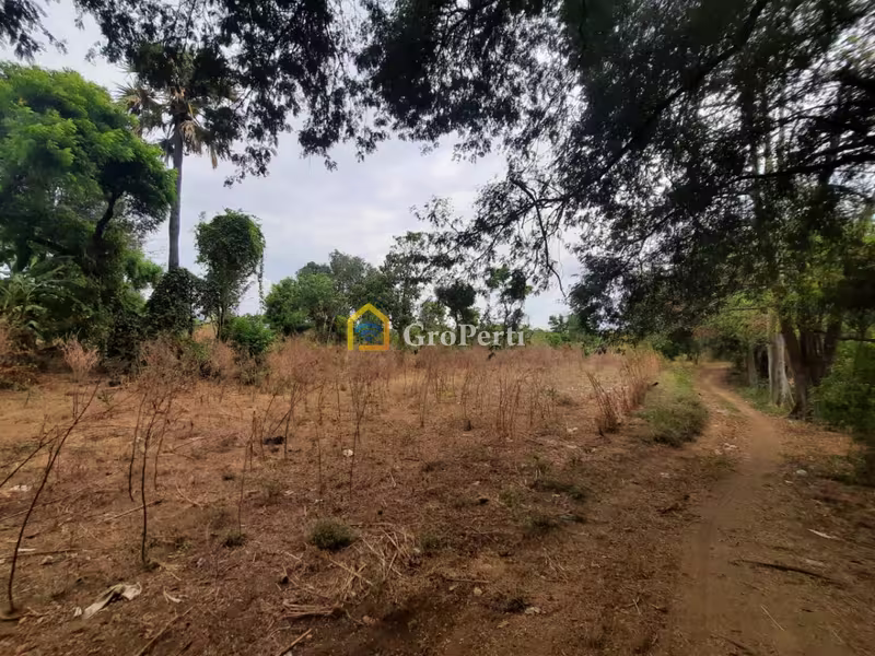 Dijual Tanah Second di Kubutambahan, Kabupaten Buleleng - WOFF870-2 - 3