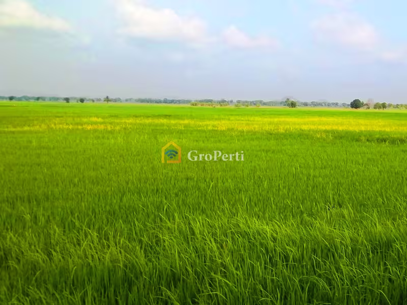 Tanah Dijual di Leuwiliang, Bogor