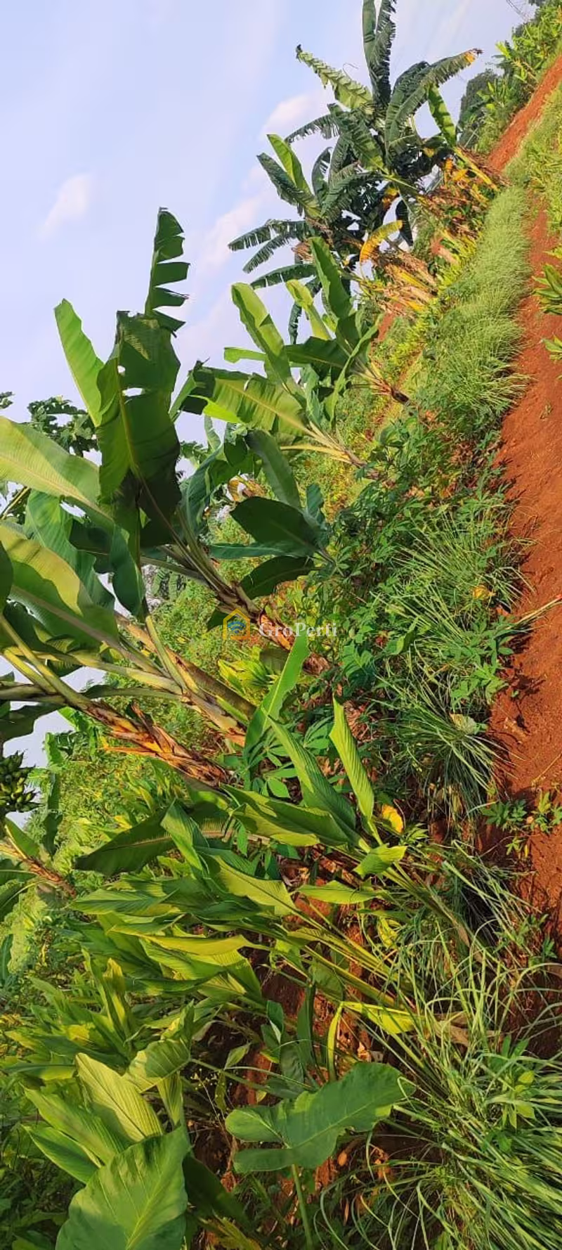 Dijual Tanah Luas di Desa Bojongnangka, Bogor - 2