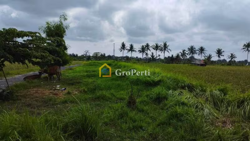 Tanah Dijual di Abiansemal, Kabupaten Badung — 1 KT, 1 KM
