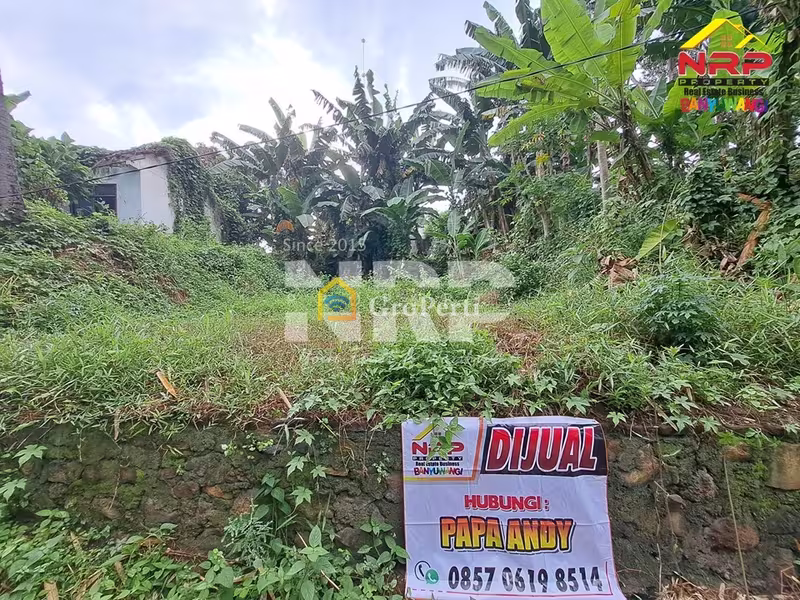 Dijual Tanah Murah 100 Jutaan di Kalirejo Dekat RS Fatimah Banyuwangi - 4