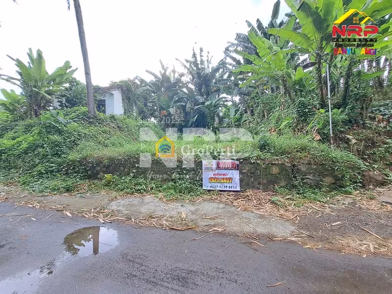 Dijual Tanah Murah 100 Jutaan di Kalirejo Dekat RS Fatimah Banyuwangi - 2