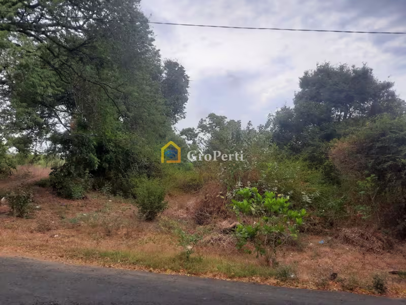 Tanah Dijual di Kubutambahan, Kabupaten Buleleng