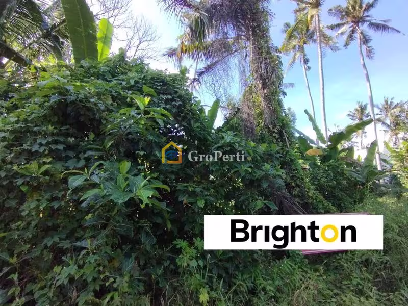 Tanah Disewa di Tabanan, Kabupaten Tabanan — 1 KT, 1 KM