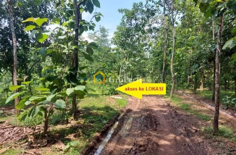 Dijual Tanah Second di Cipunagara, Kabupaten Subang - NPL2618-1 - 3