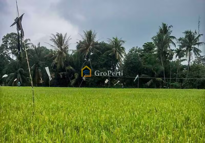 Dijual Tanah Second di Jonggol, Kabupaten Bogor - JTII05-1 - 2