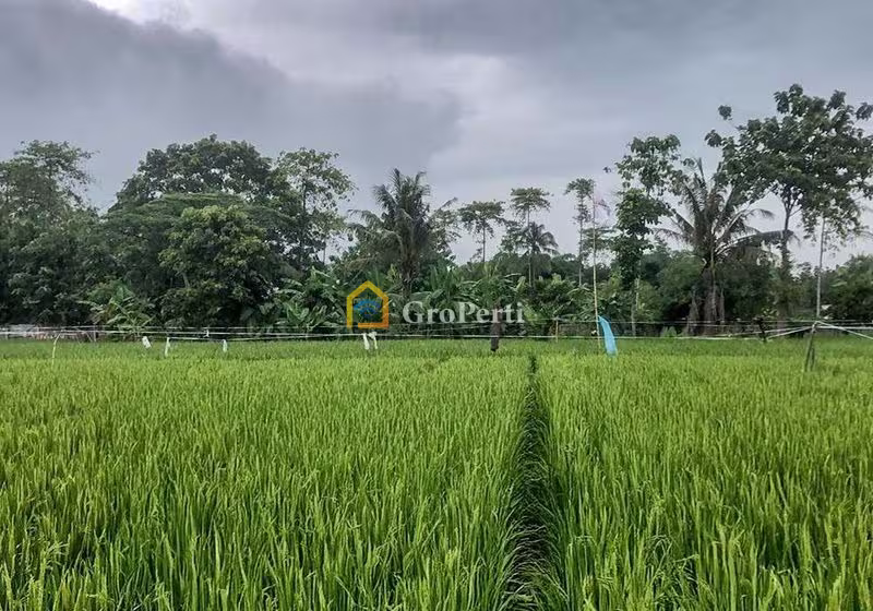 Tanah Dijual di Jonggol, Kabupaten Bogor