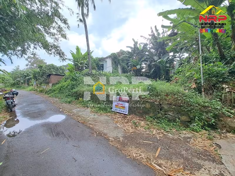 Dijual Tanah Murah 100 Jutaan di Kalirejo Dekat RS Fatimah Banyuwangi - 5