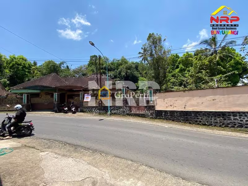 Dijual Rumah Luas View Sungai di Licin - Kawah Ijen Banyuwangi - 5